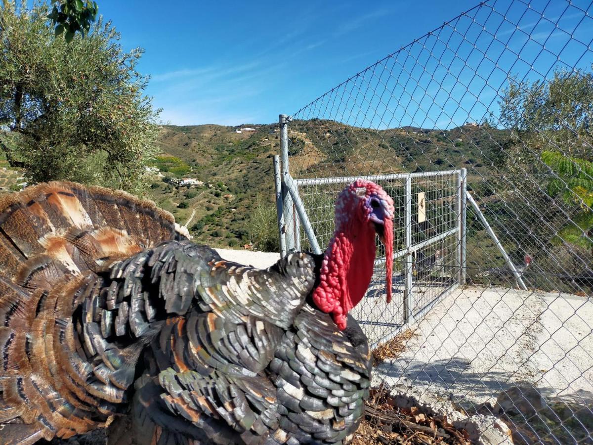 Paraje El Pozo Málaga Kültér fotó