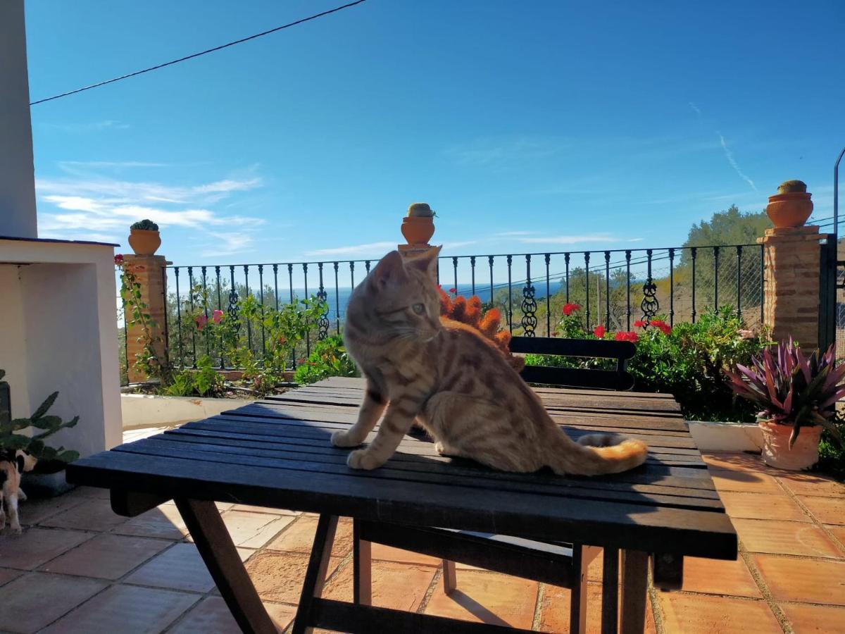 Paraje El Pozo Málaga Kültér fotó