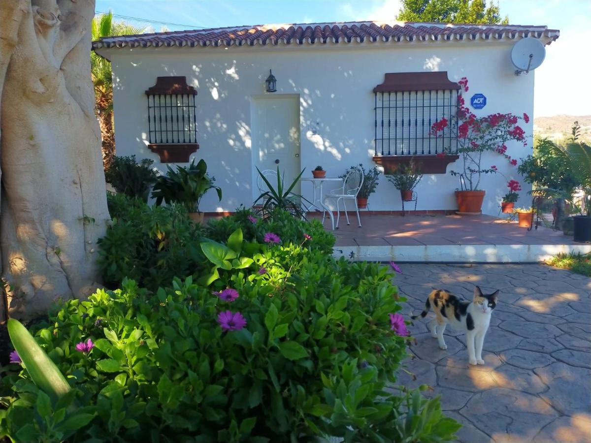 Paraje El Pozo Málaga Kültér fotó