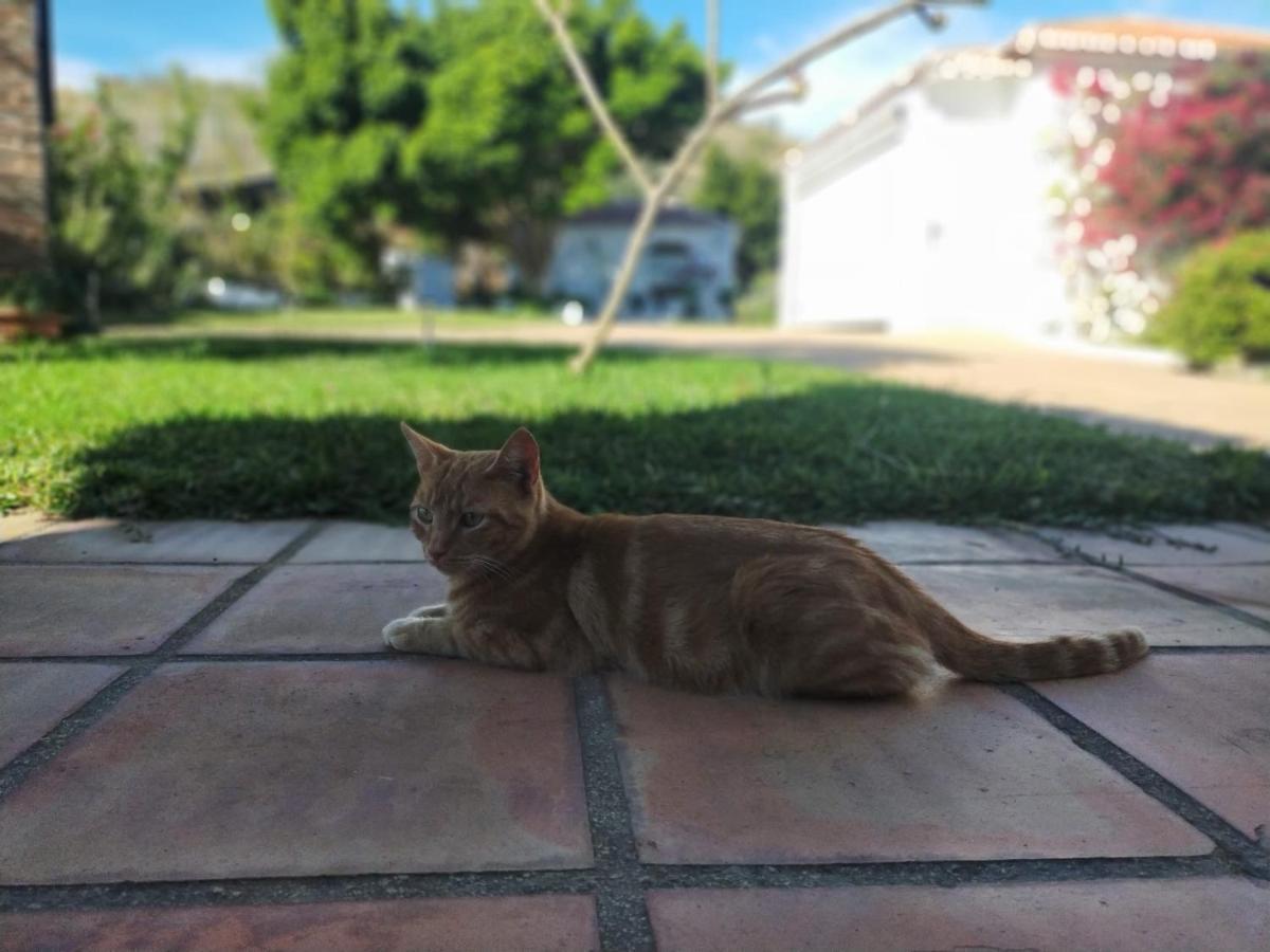 Paraje El Pozo Málaga Kültér fotó