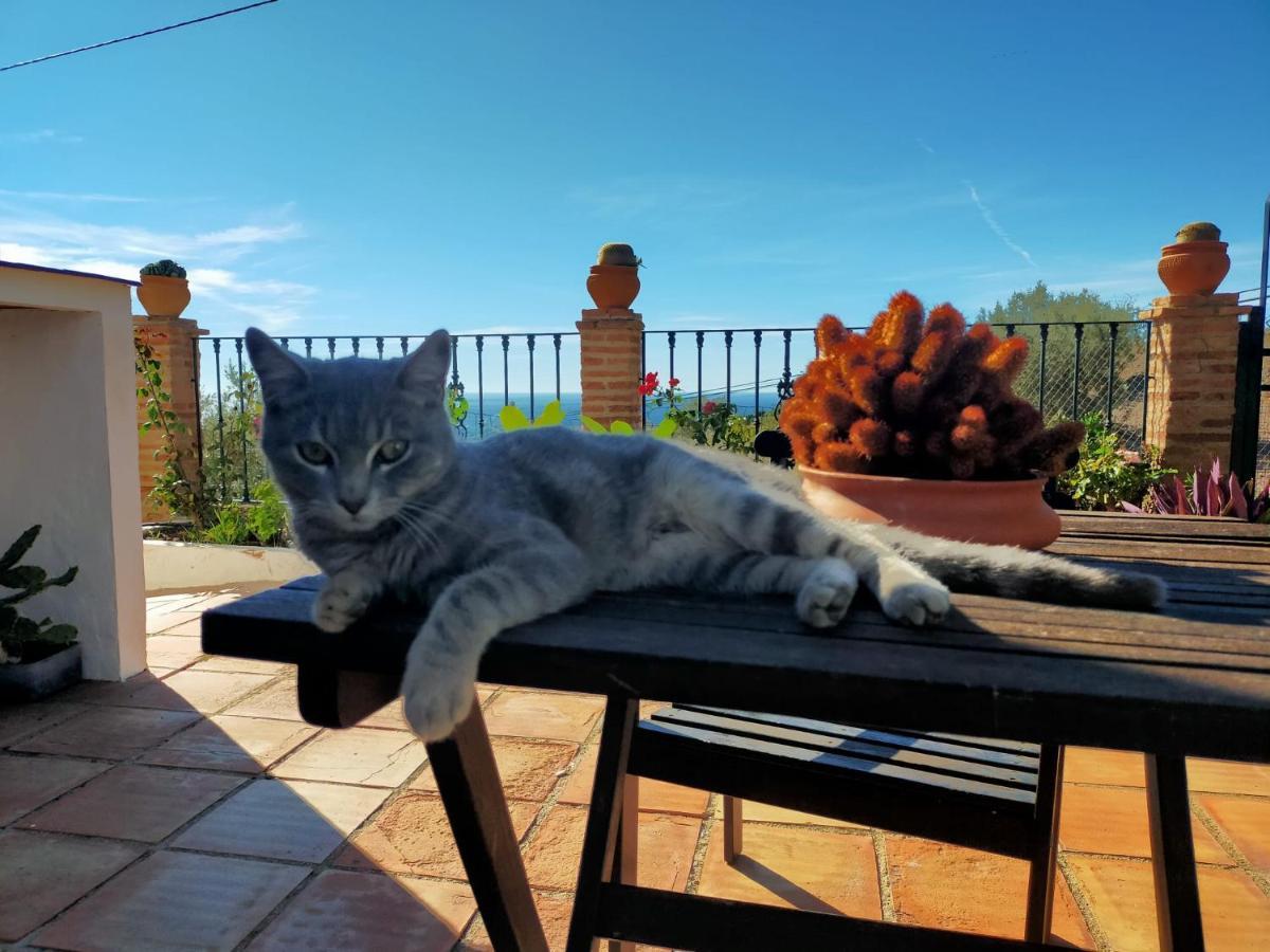 Paraje El Pozo Málaga Kültér fotó