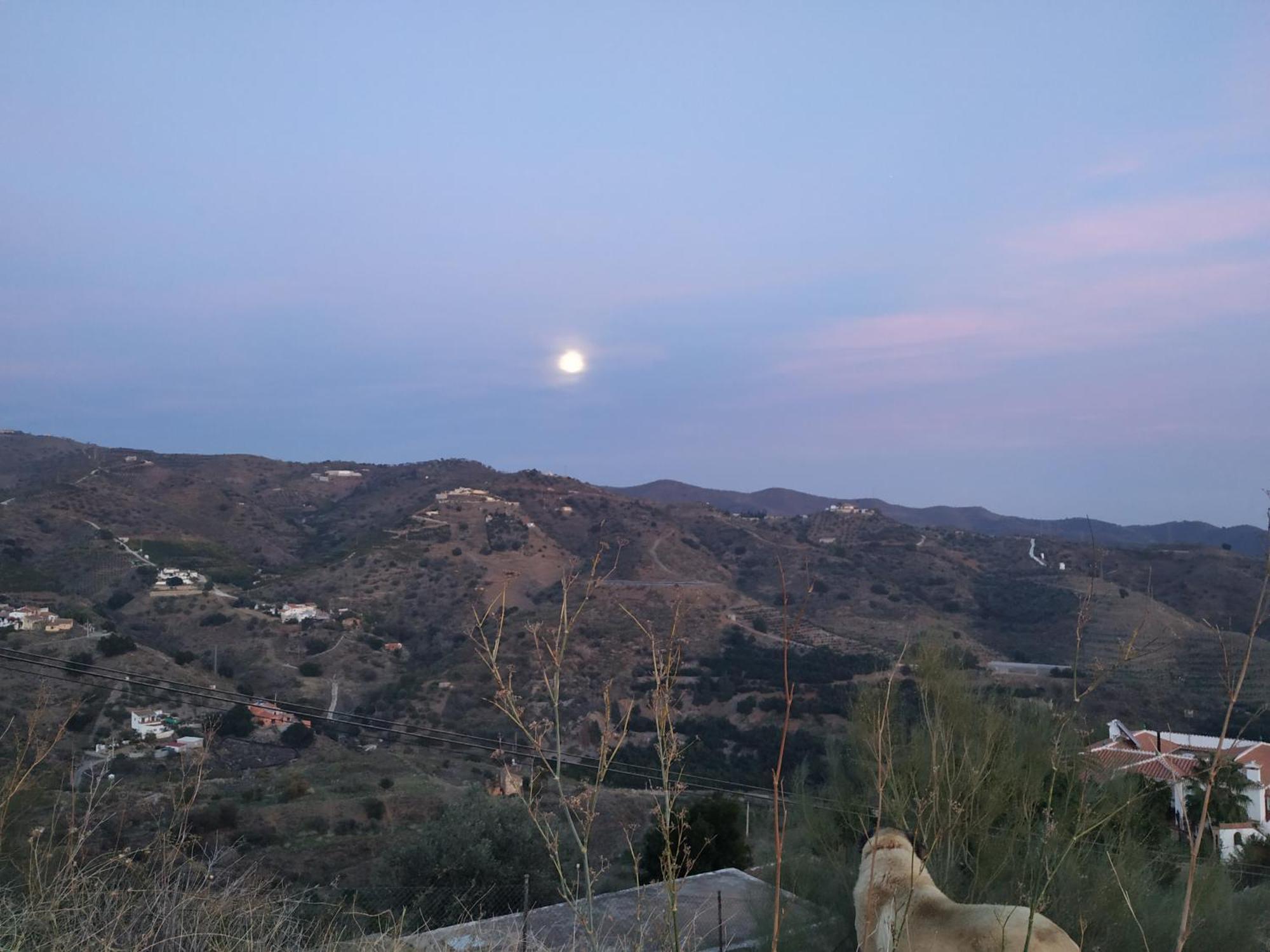 Paraje El Pozo Málaga Kültér fotó