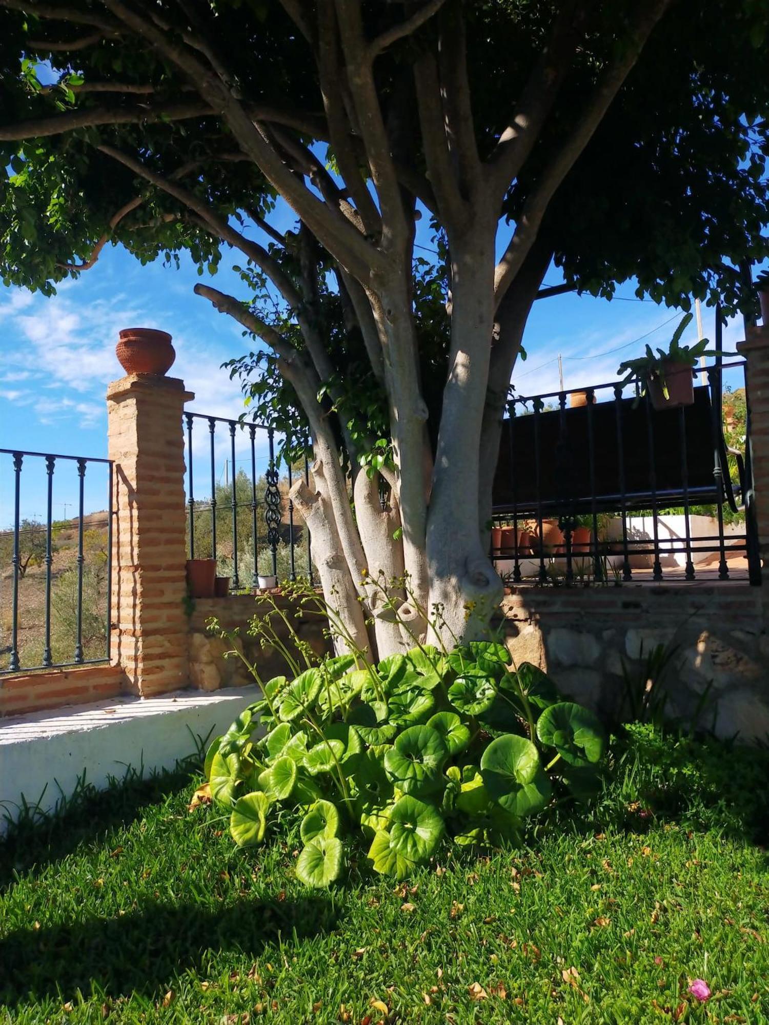 Paraje El Pozo Málaga Kültér fotó