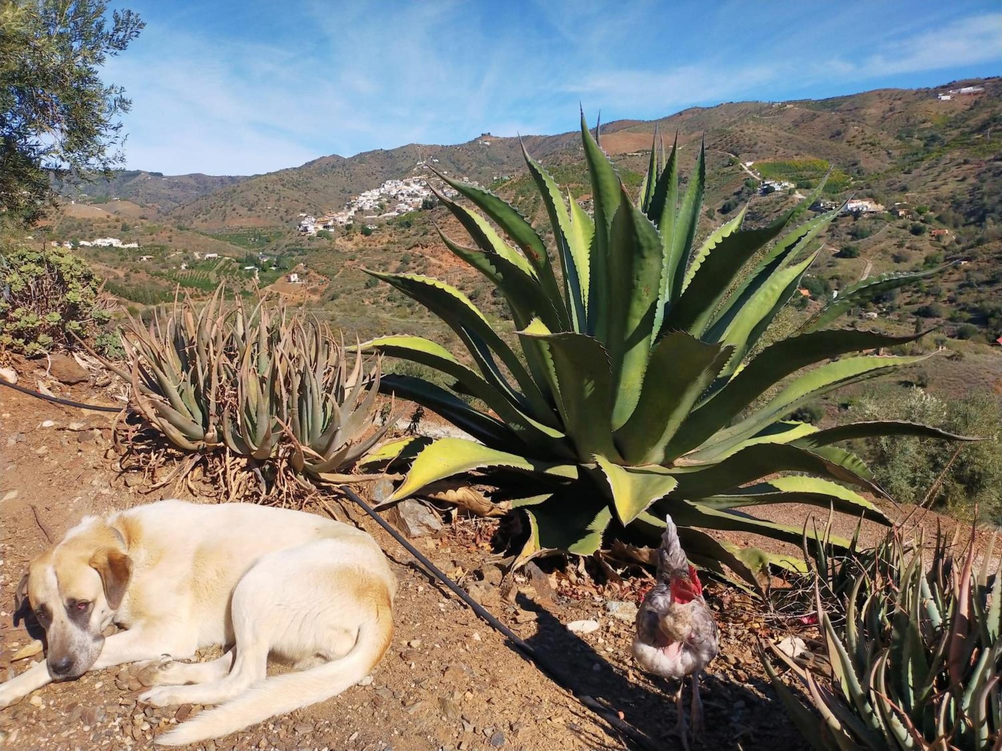 Paraje El Pozo Málaga Kültér fotó