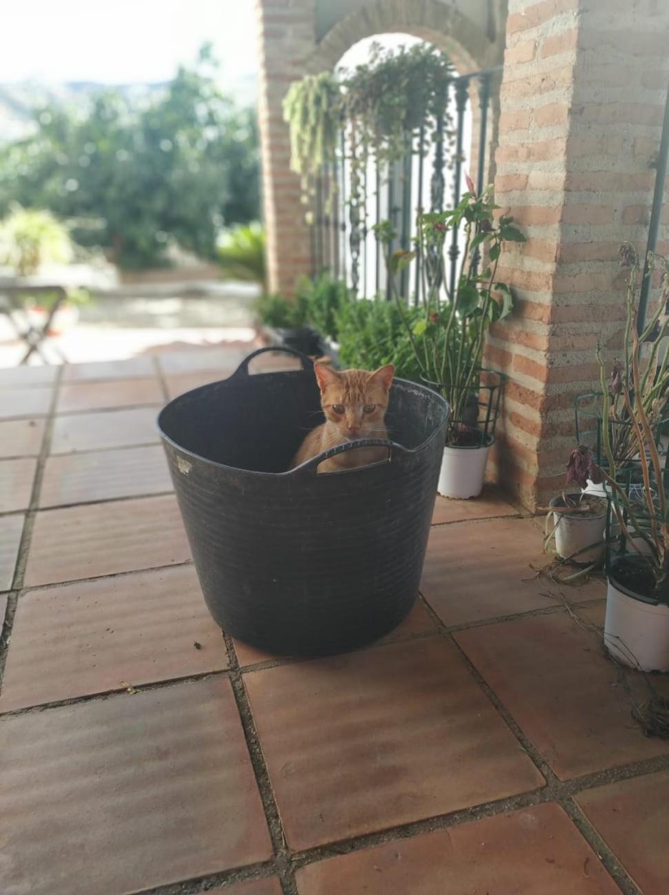 Paraje El Pozo Málaga Kültér fotó